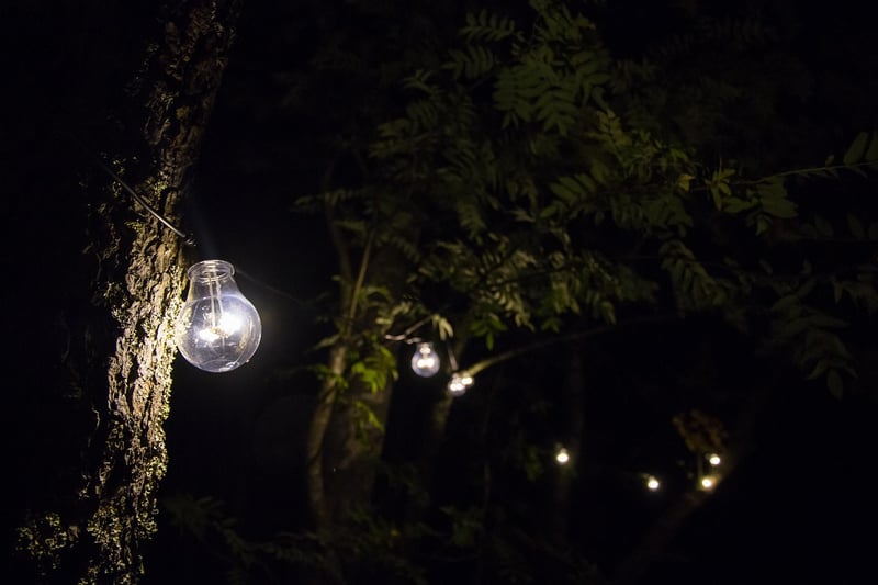 Garden Decor Ideas